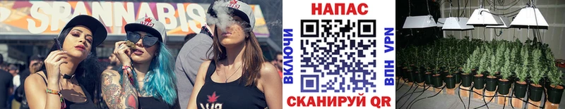 Виды наркоты Вилюйск Псилоцибиновые грибы  A-PVP 