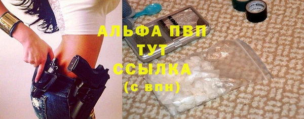 крисы Абаза