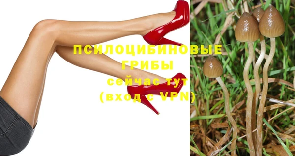 спайс Абдулино