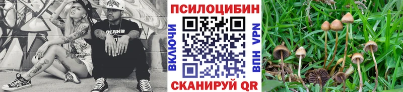 Псилоцибиновые грибы Magic Shrooms  мега ссылка  Вилюйск 