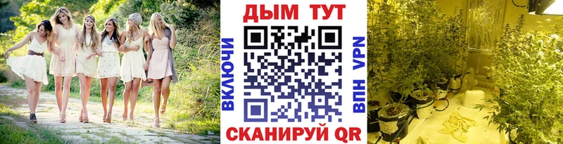 Канабис THC 21%  Вилюйск 
